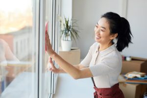 window cleaning